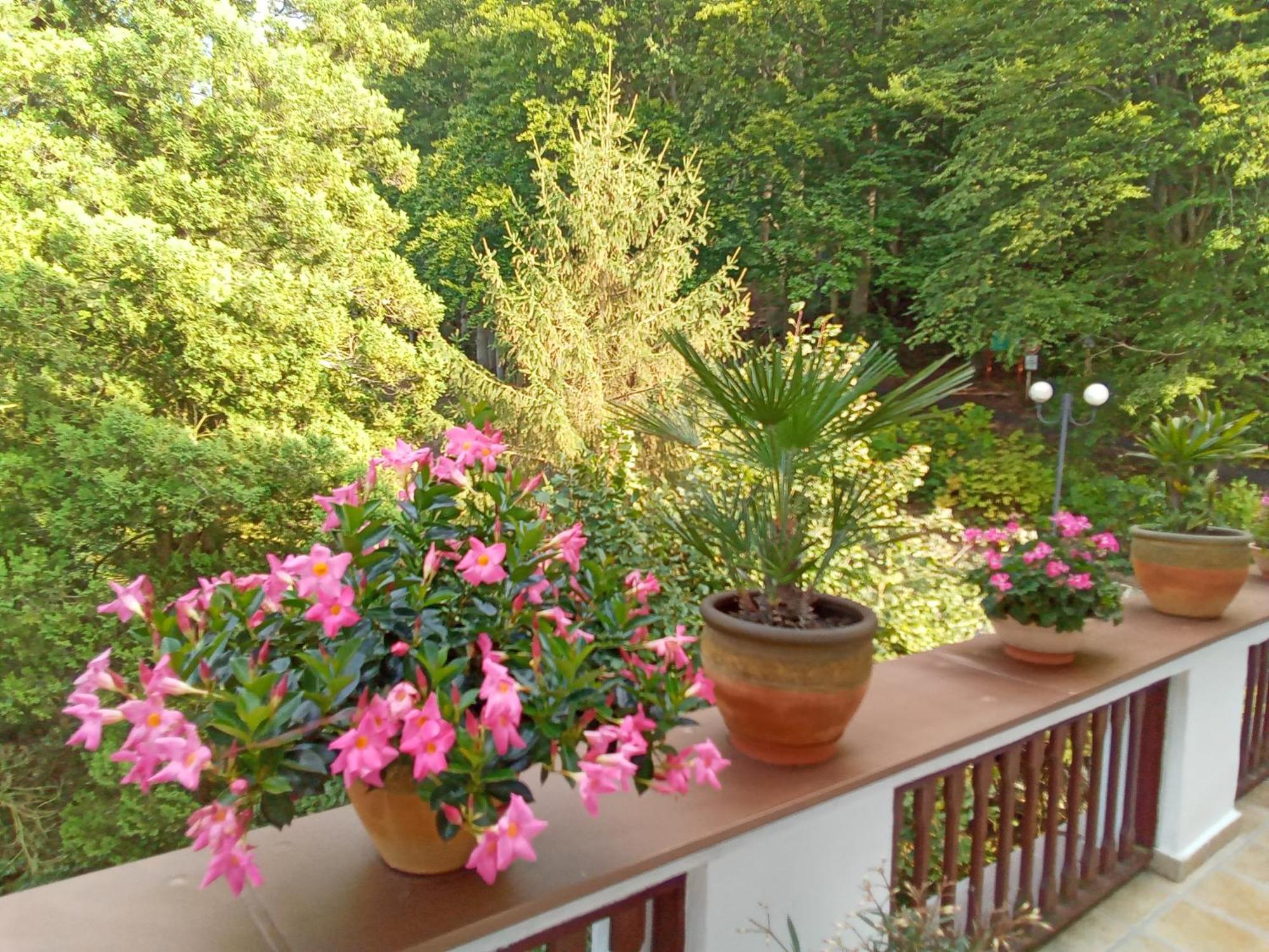 Pension Baron Schoeneck Karlovy Vary Exterior foto